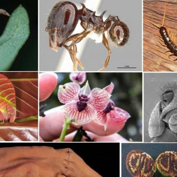 Cada animal o planta, representativo de su especie, tiene su encanto 🌿