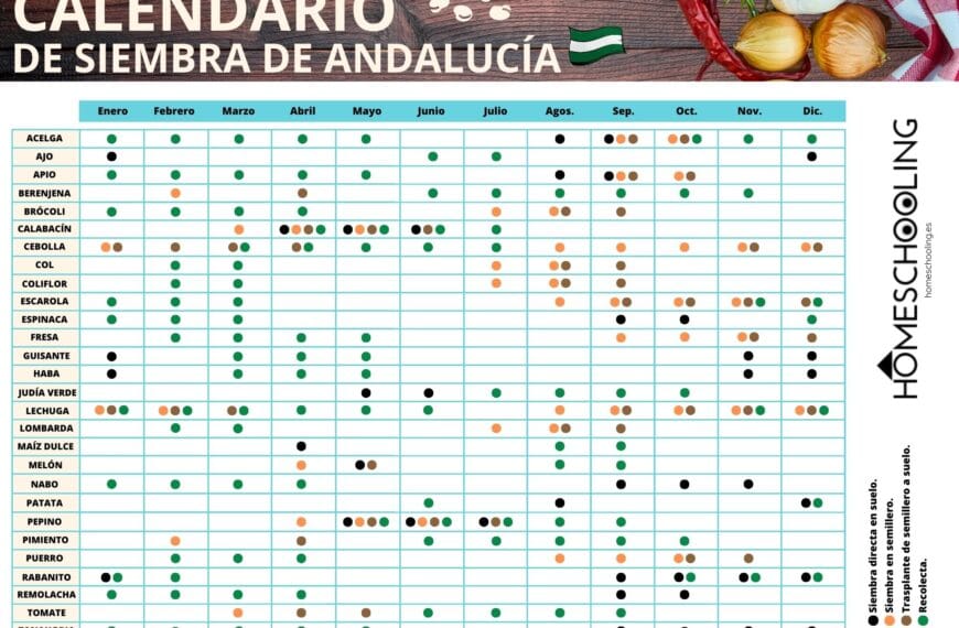 Calendario de siembra de tomates en Andalucía: fechas ideales y consejos