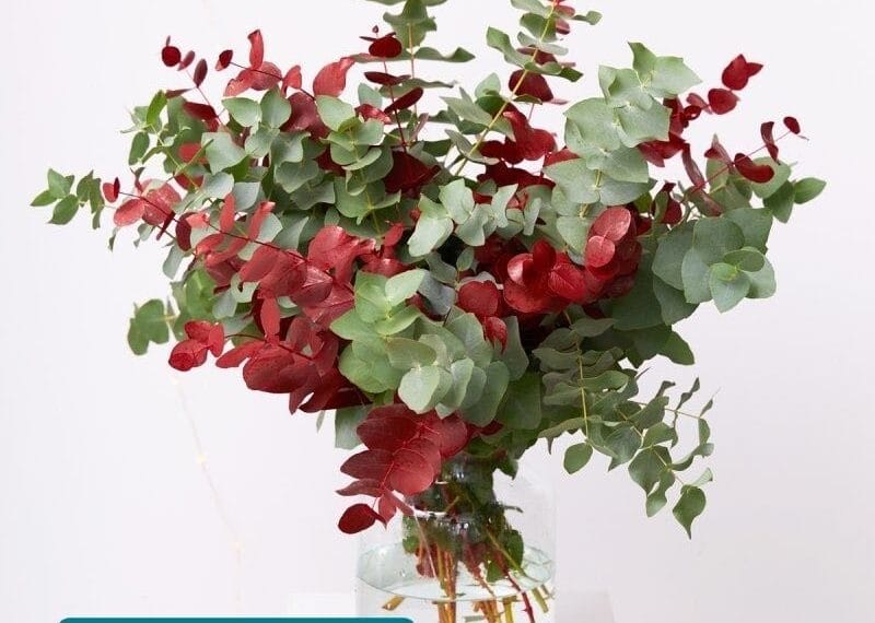 Exquisitos centros de flores en forma de ele: la tendencia que alegra tu hogar