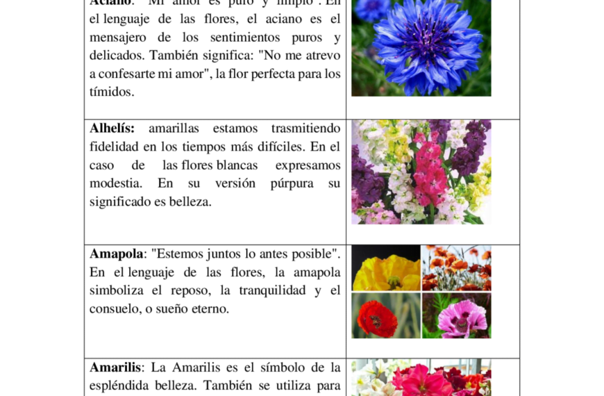 La flor que simboliza el recuerdo eterno: descubre su significado.