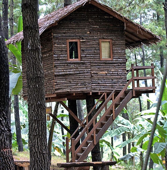 La legalidad de construir una casa en un árbol
