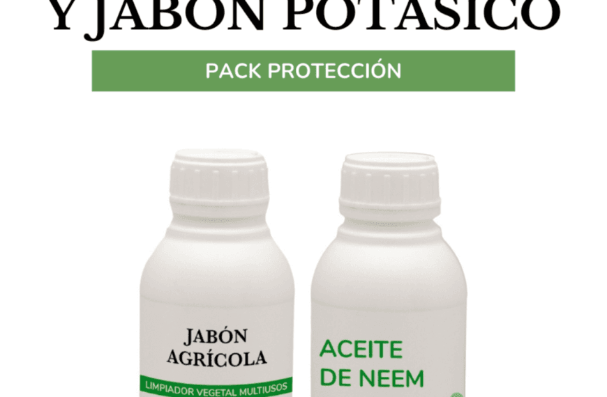 Mezcla de aceite de neem y jabón potásico: una solución natural para tus plantas de interior
