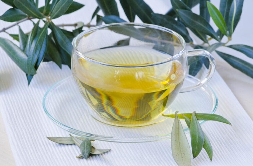 Posibles contraindicaciones de hojas de olivo en infusión