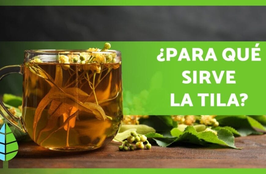 Tiempo de acción de la tila: ¿Cuánto tarda en hacer efecto?